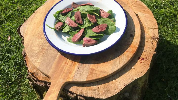 Image of Pigeon Breasts on a Simple Salad