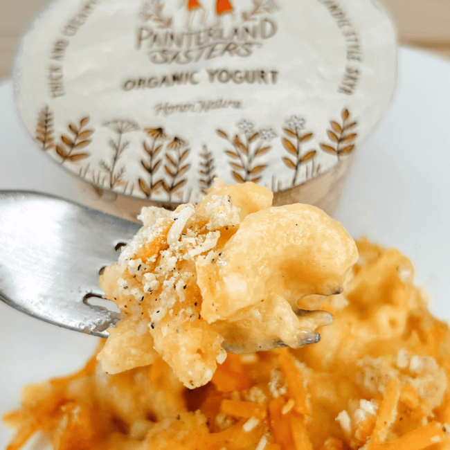 Image of Creamy Skyr Mac & Cheese