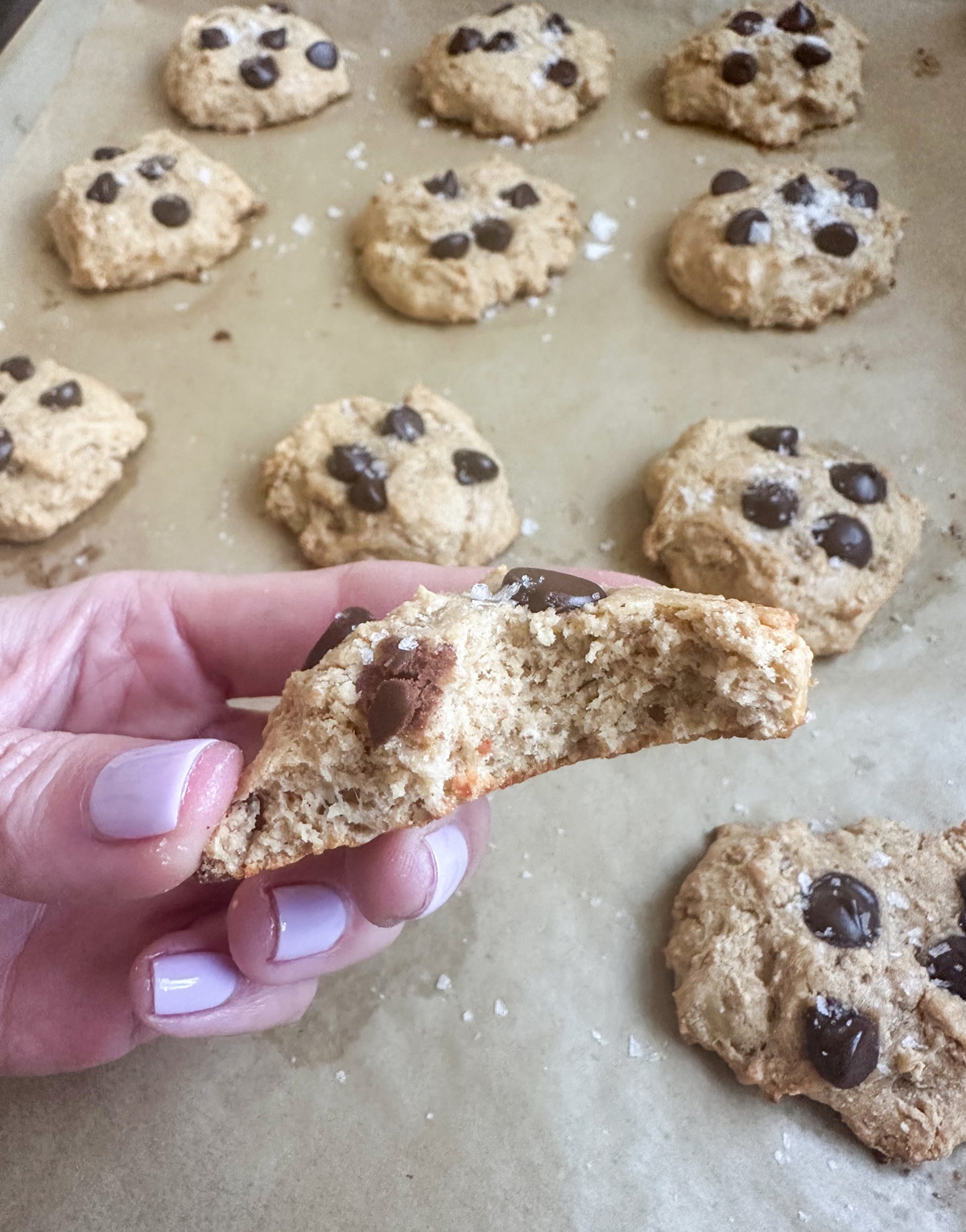 3 Ingredient Banana Bread Protein Cookies