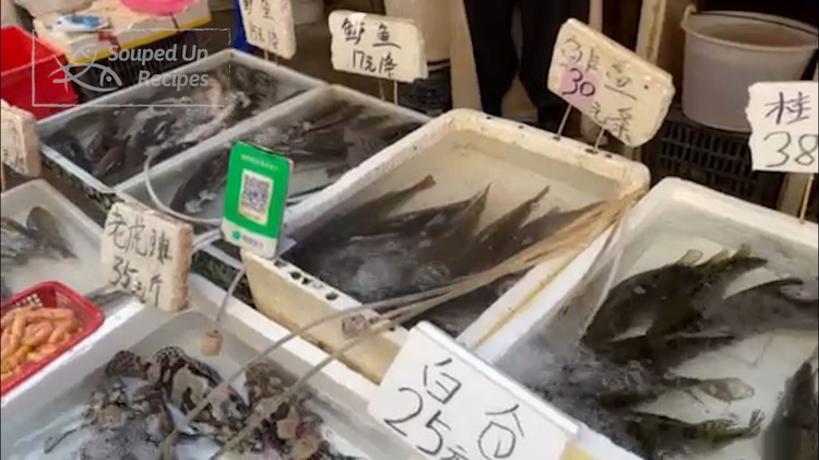 Image of There are no particular rules on the types of fish. Any white fish will work. Here are some of the common types that we use in China: sea bass, sea bream, perch, flounder, grouper, snapper, grass carp, and mandarin fish.