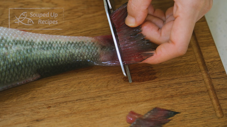 Image of Take a pair of scissors to remove the fins and trim the tail. Please do this step before scaling because fins can be sharp, and you can get hurt by accident in the following steps.