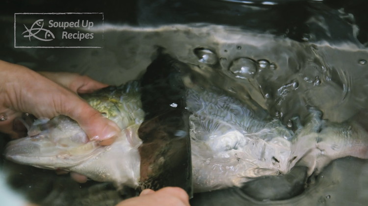 Image of Use the back of a utility knife to descale the fish by holding it at a 45-degree angle and scrubbing it from the fishtail towards the head with steady pressure. This process is messy. I recommend filling a sink or...