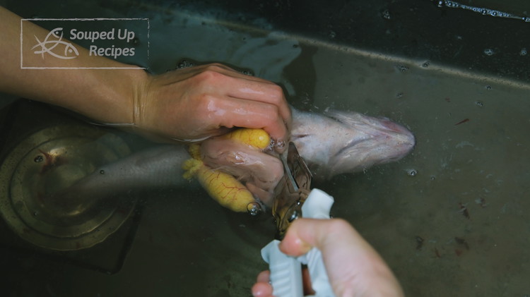 Image of Use a pair of scissors to cut the fish belly open and discard all the innards.