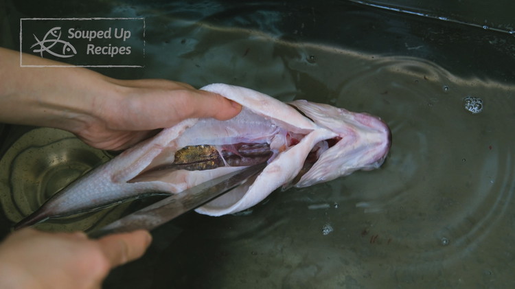 Image of Inside the fish cavity, there is a blood vine running along the spine: use kitchen paper to scrub it; otherwise, your dish will end up with a fishy smell.