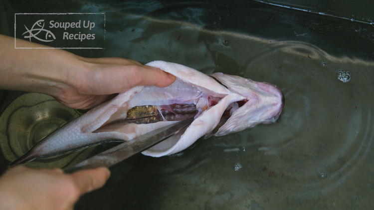 Image of Inside the fish cavity, there is a blood vine running...