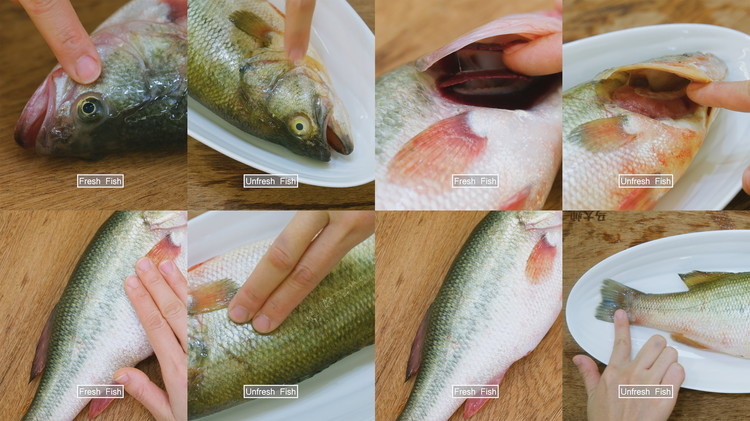Image of A fresh fish should have a clean smell; clear, shiny eyes; bright red gills; moist, glossy scales; and firm, bouncy flesh. If the fish has an unpleasant odor, the eyes and scales are dry, the gills are pink or gray,...