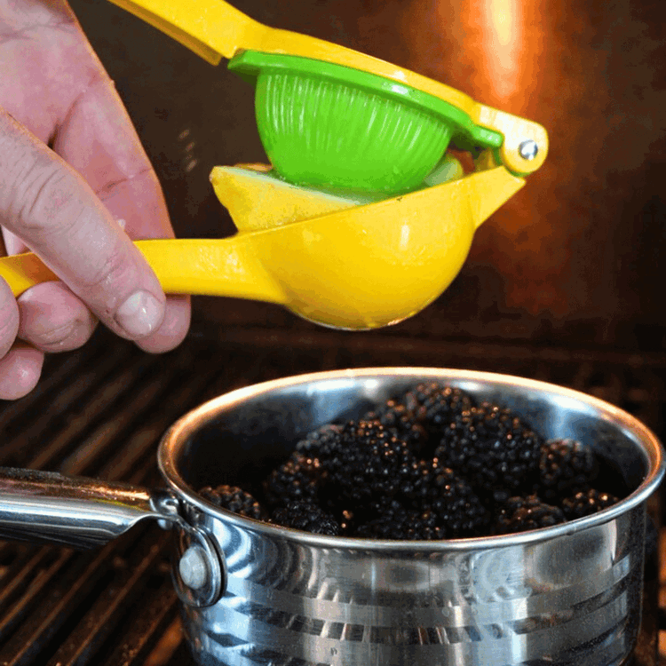 Image of Make the reduction: In a saucepan, combine all blackberry reduction ingredients. Simmer 20–30 minutes until thickened. Remove thyme.