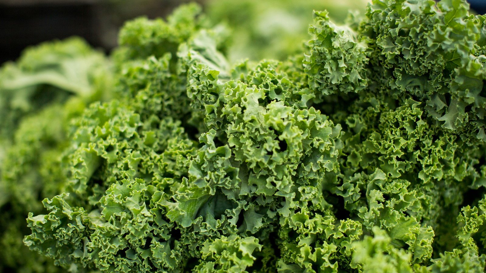 Image of Kale Pesto Chicken Pasta