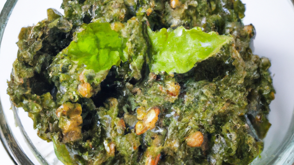 Shiso Pesto 紫蘇ペスト image