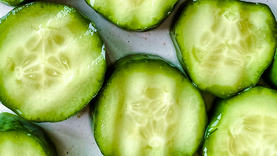 New Pickles
