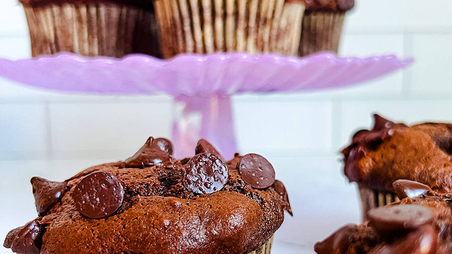 Chocolate Chocolate Chip Pumpkin Muffins