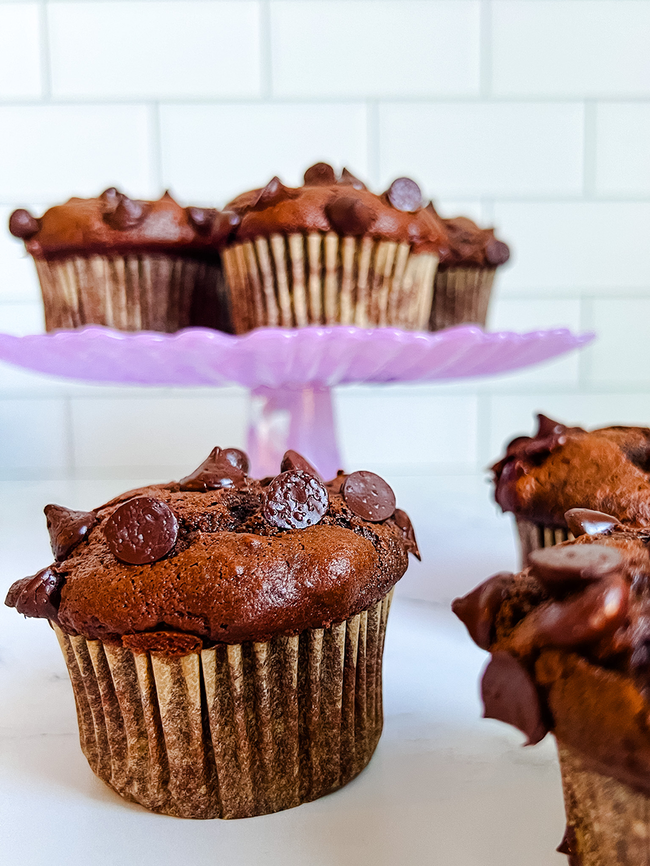 Chocolate Chocolate Chip Pumpkin Muffins