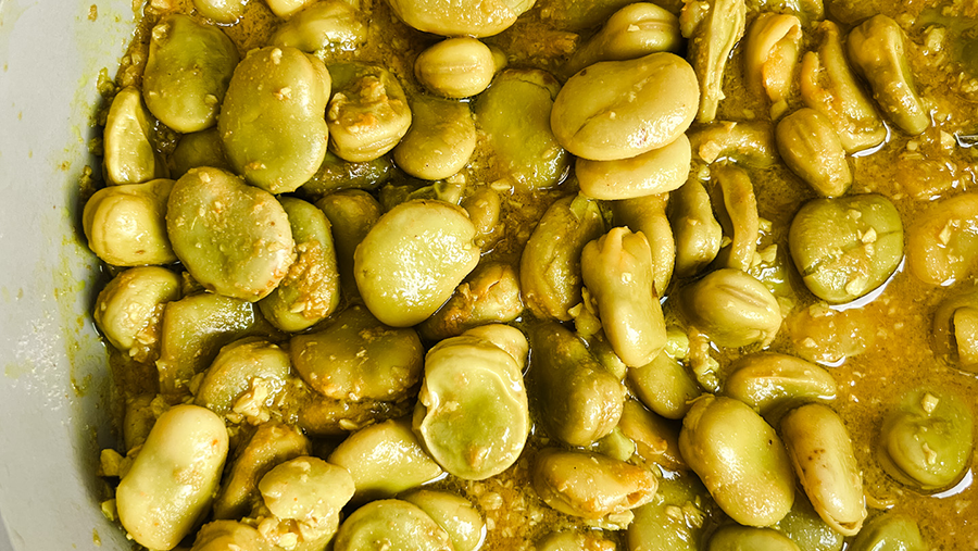 Tata's Fava Beans