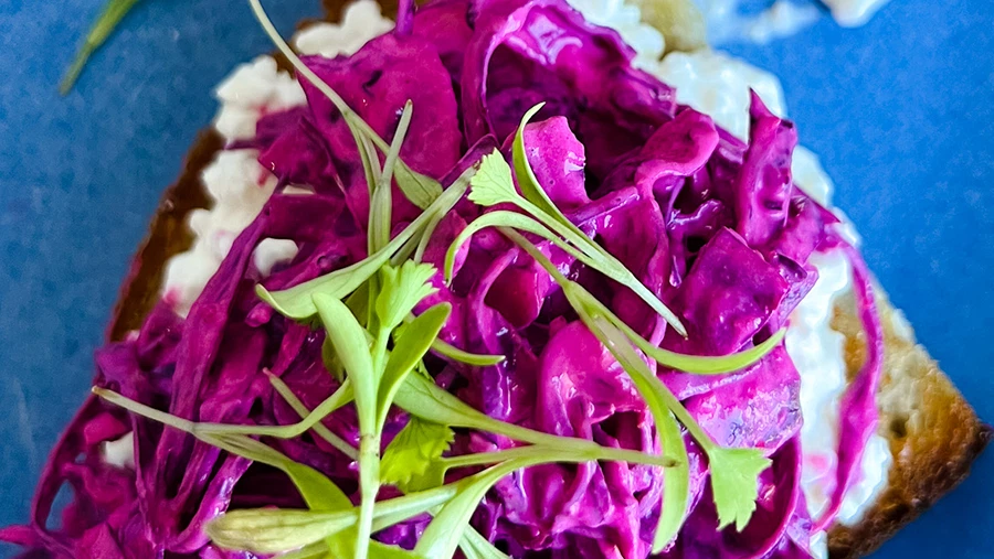 Purple Beet Slaw