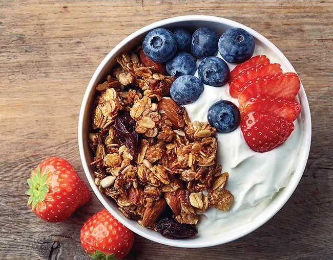 Image of Homemade Yogurt