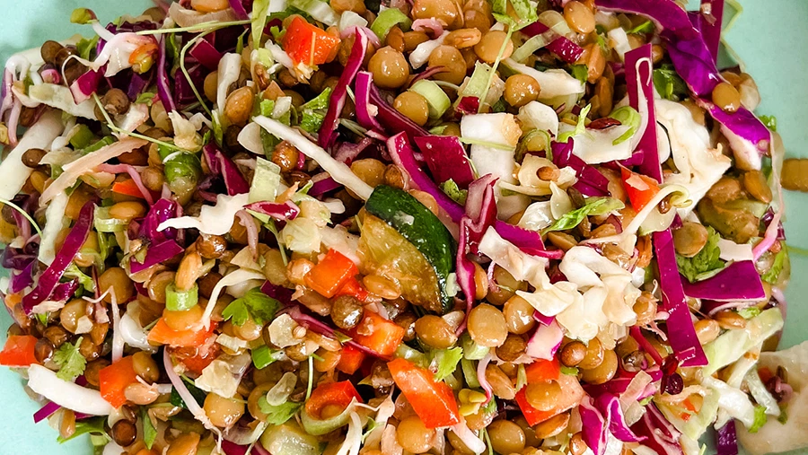 Rainbow Lentil Salad