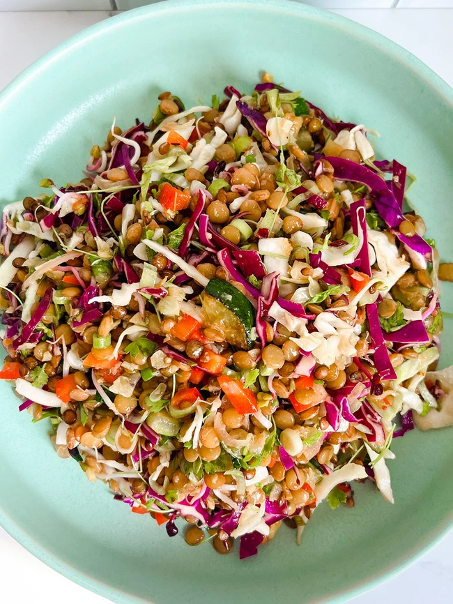 Rainbow Lentil Salad