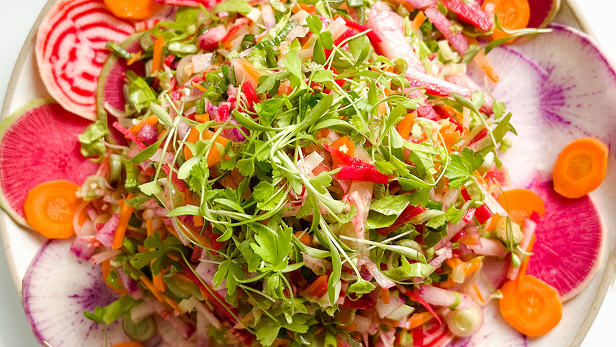 Rainbow Radish Salad