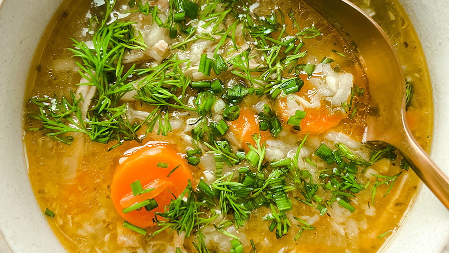Leeky Chicken Soup