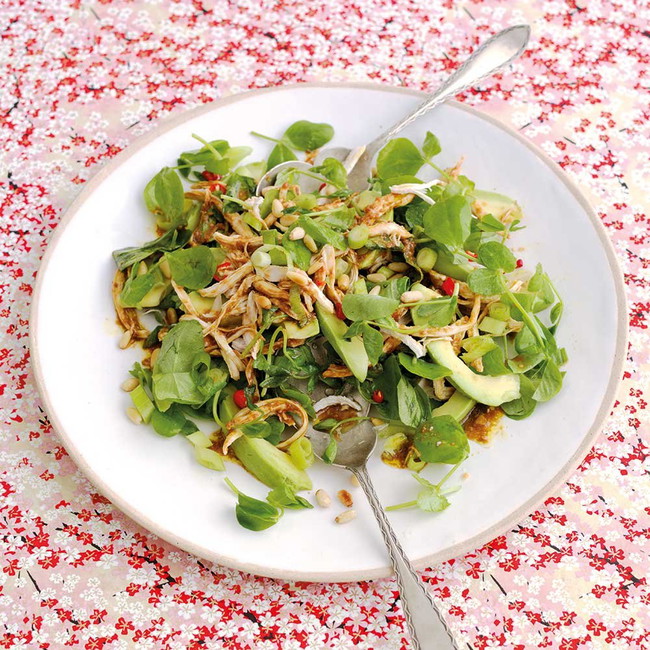 Japanese Chicken & Avocado Salad