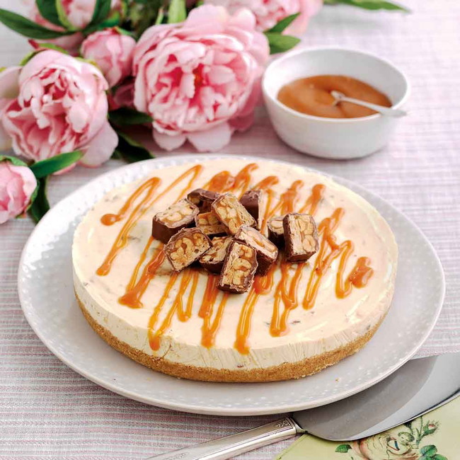 No-bake Nutty Chocolate Cheesecake