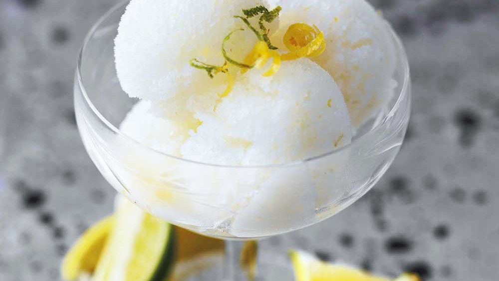 Gin & Tonic Sorbet