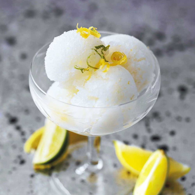 Gin & Tonic Sorbet