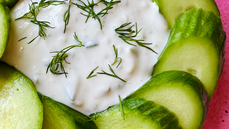 E-Z Tzatziki
