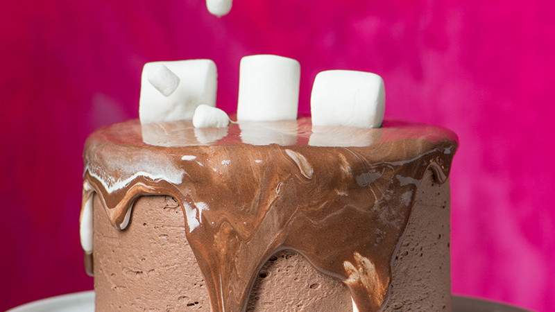 Hot Cocoa Cake & Icing