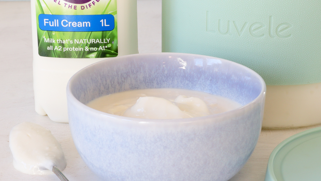 Image of L. Reuteri homemade yogurt using A2 Milk