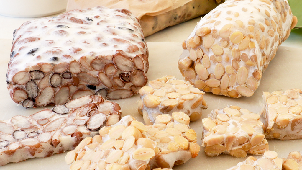 Image of Make Fresh Tempeh in Your Luvele Yogurt Maker