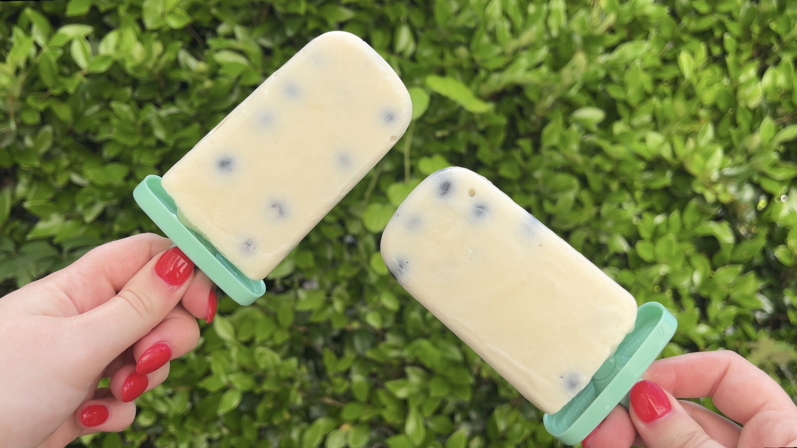 Image of High Protein Lemon Blueberry Popsicles