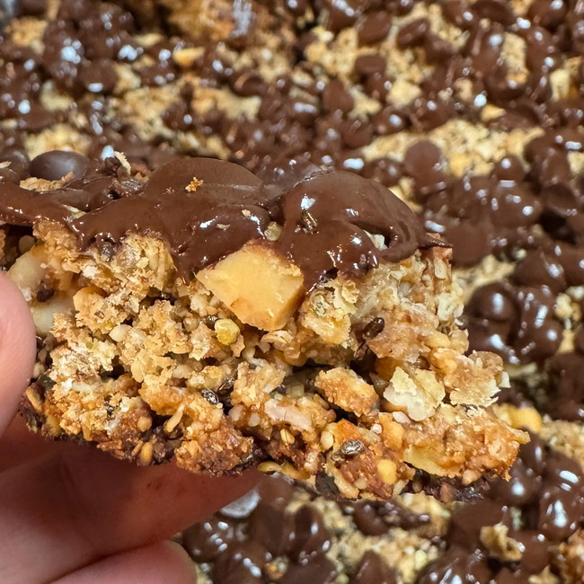 Image of Dairy-Free, Gluten-Free, Protein Granola Bars