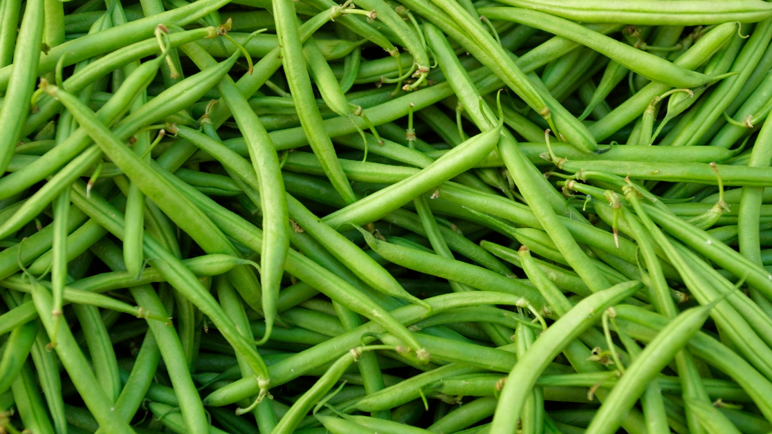 cuisson haricots verts, haricots verts vapeur, bien cuir les haricots verts, haricots verts à la poêle, haricots verts au four, légumes croquants, garniture légère