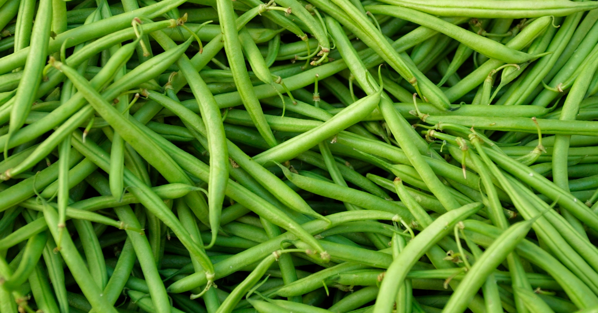 🥣 Cuisson haricots verts