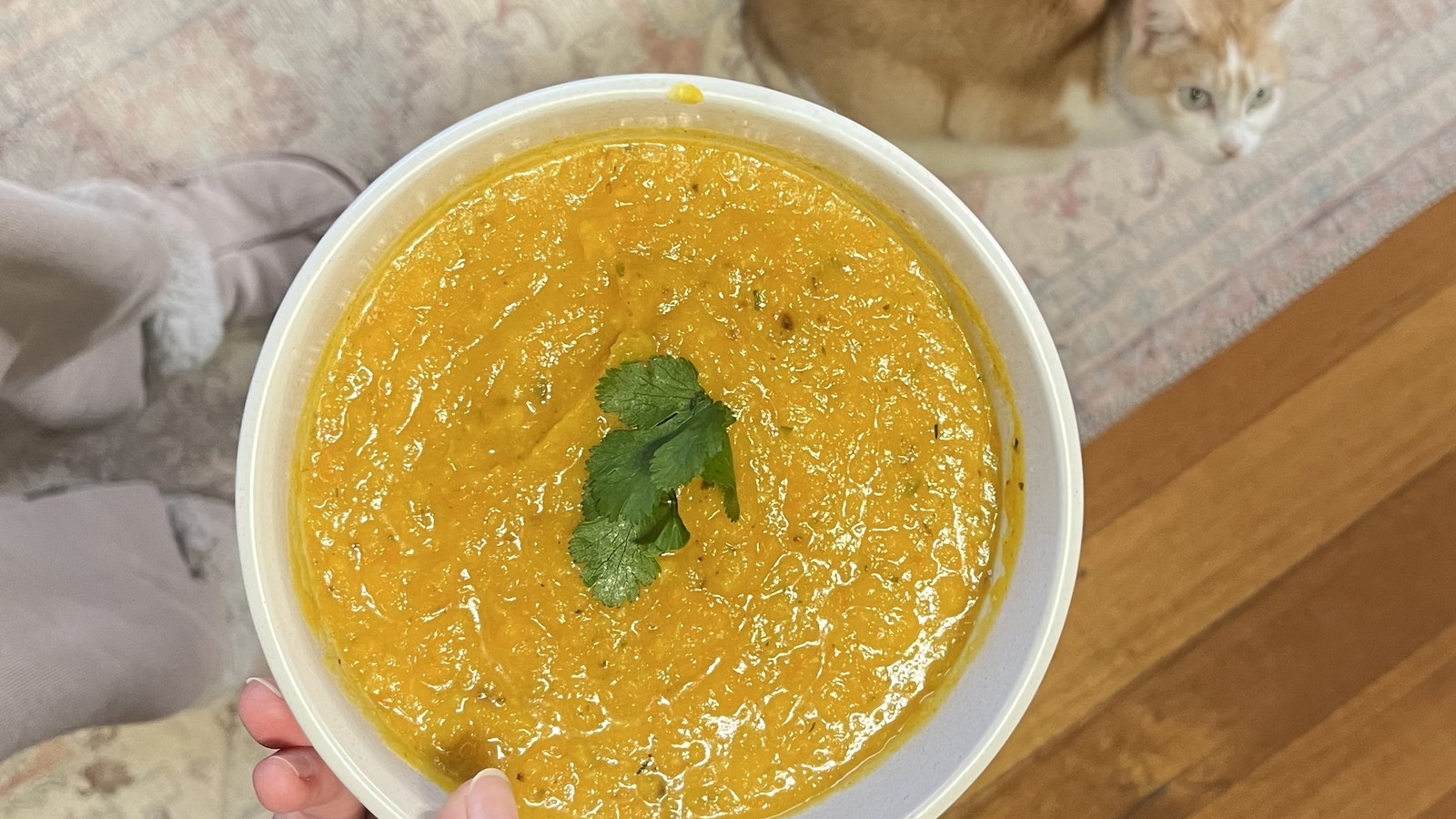 Image of Pumpkin and Fennel Immunity Soup