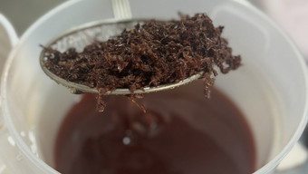 Image of DIY St. John's Wort Infused Oil
