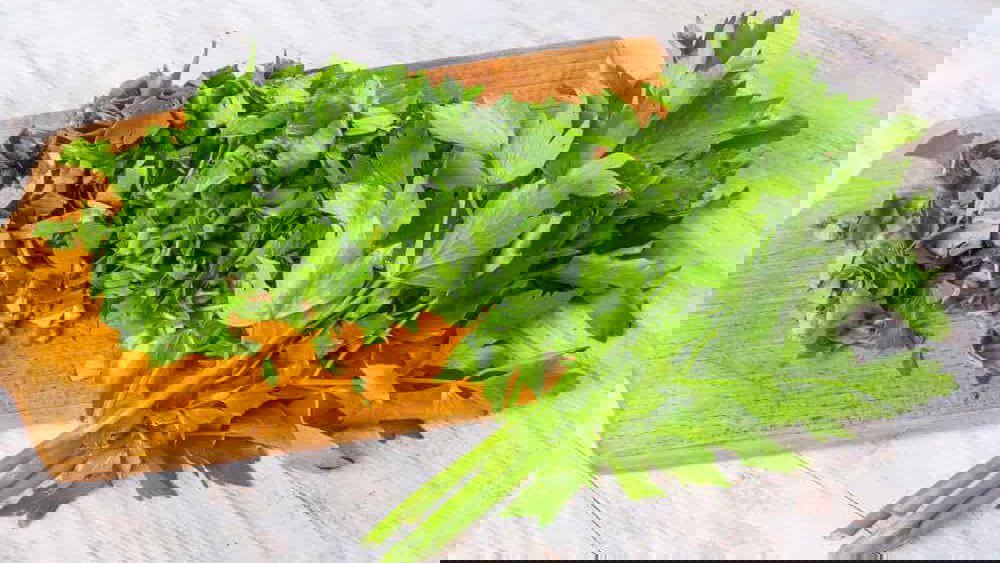 Image of Lovage and Potato Soup