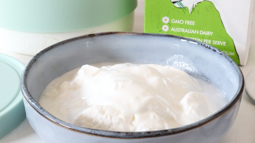 Image of Goat Milk L. Reuteri Yogurt
