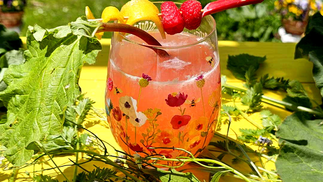 Image of Refreshing Pink Summer Cocktail (or Mocktail) – Low Calorie, Rhubarb & Raspberry