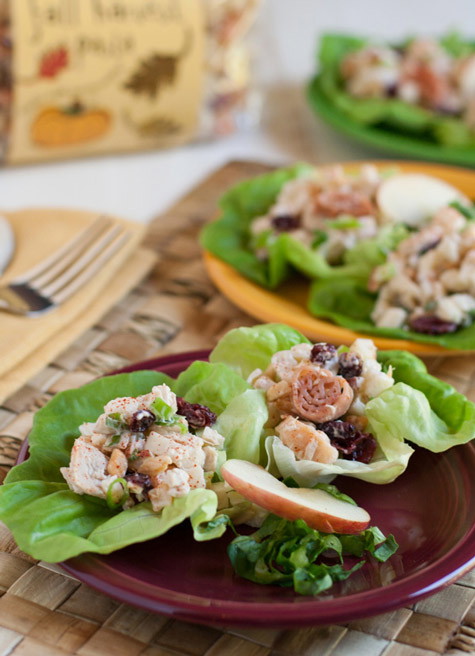 Pasta Salad with Tuna, Apple, and Dried Cranberries
