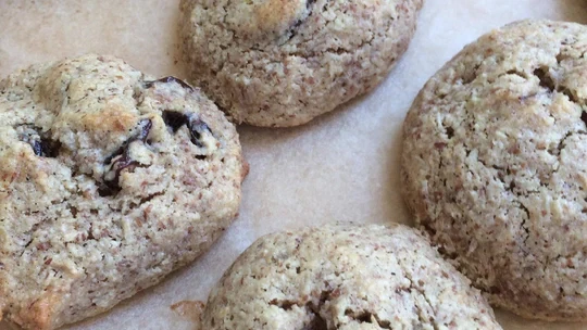 Image of Burdock-Chocolate Chip Cookies