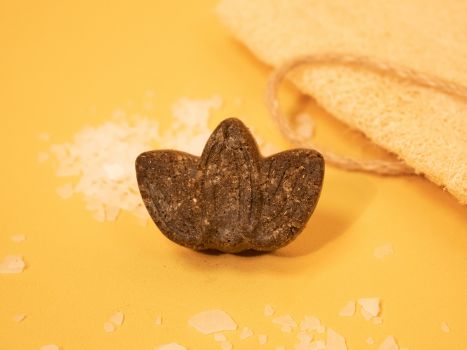 Image of Pain exfoliant solide