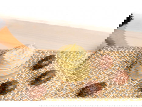 Image of La crème capillaire à l’huile de ricin