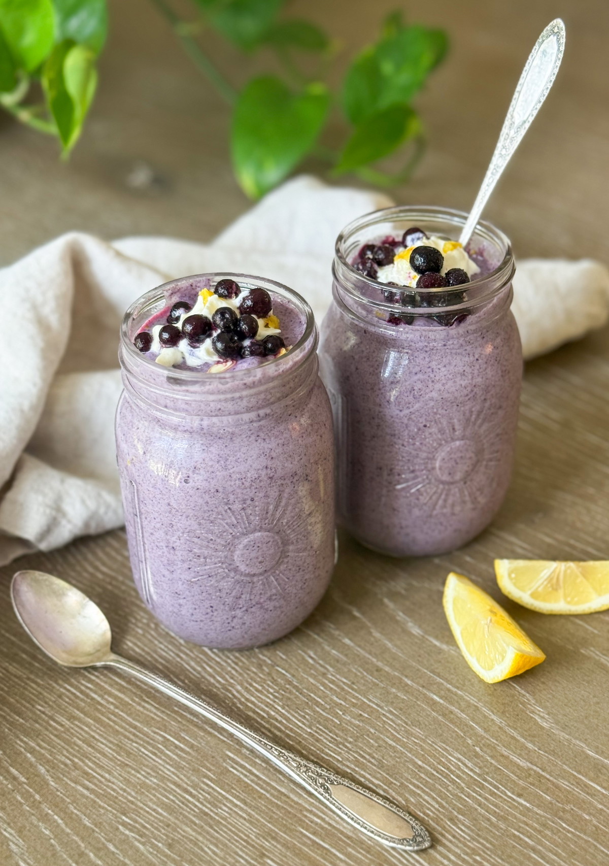 Blueberry Lemon Chia Pudding