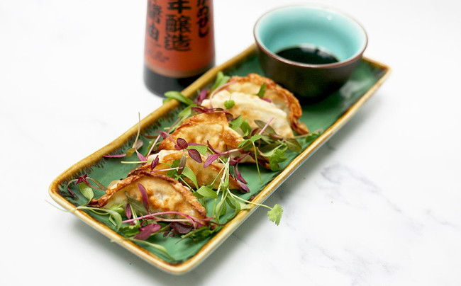 5 Minute Pork Gyozas served on a plate