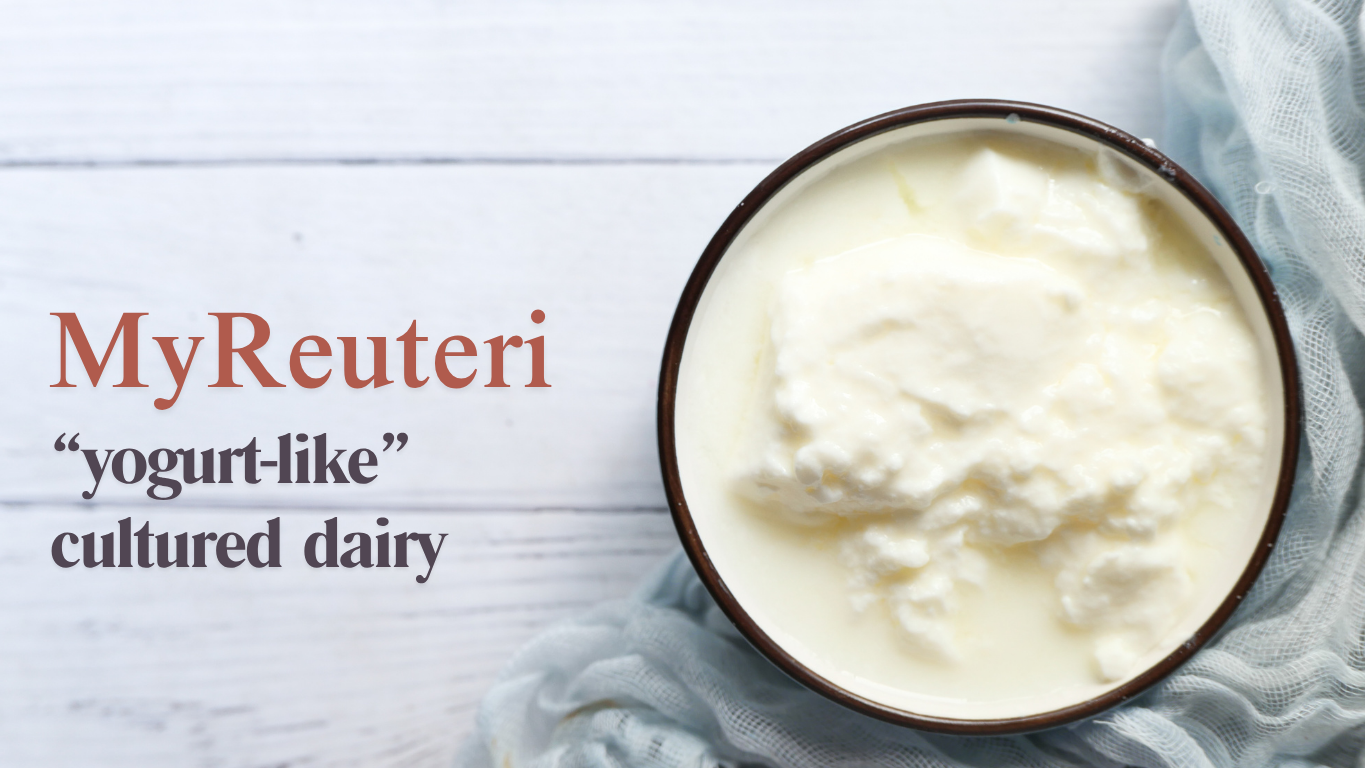 Image of Make a yogurt-style fermented recipe using MyReuteri™