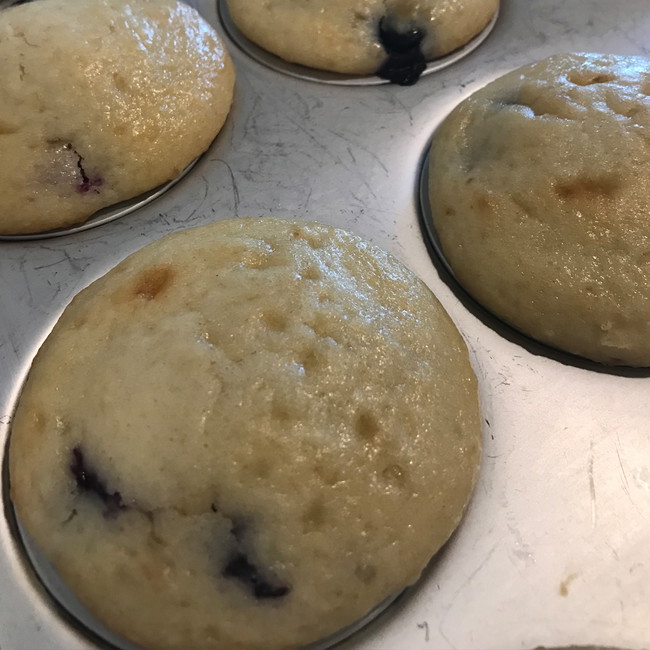 Image of Blueberry Muffins