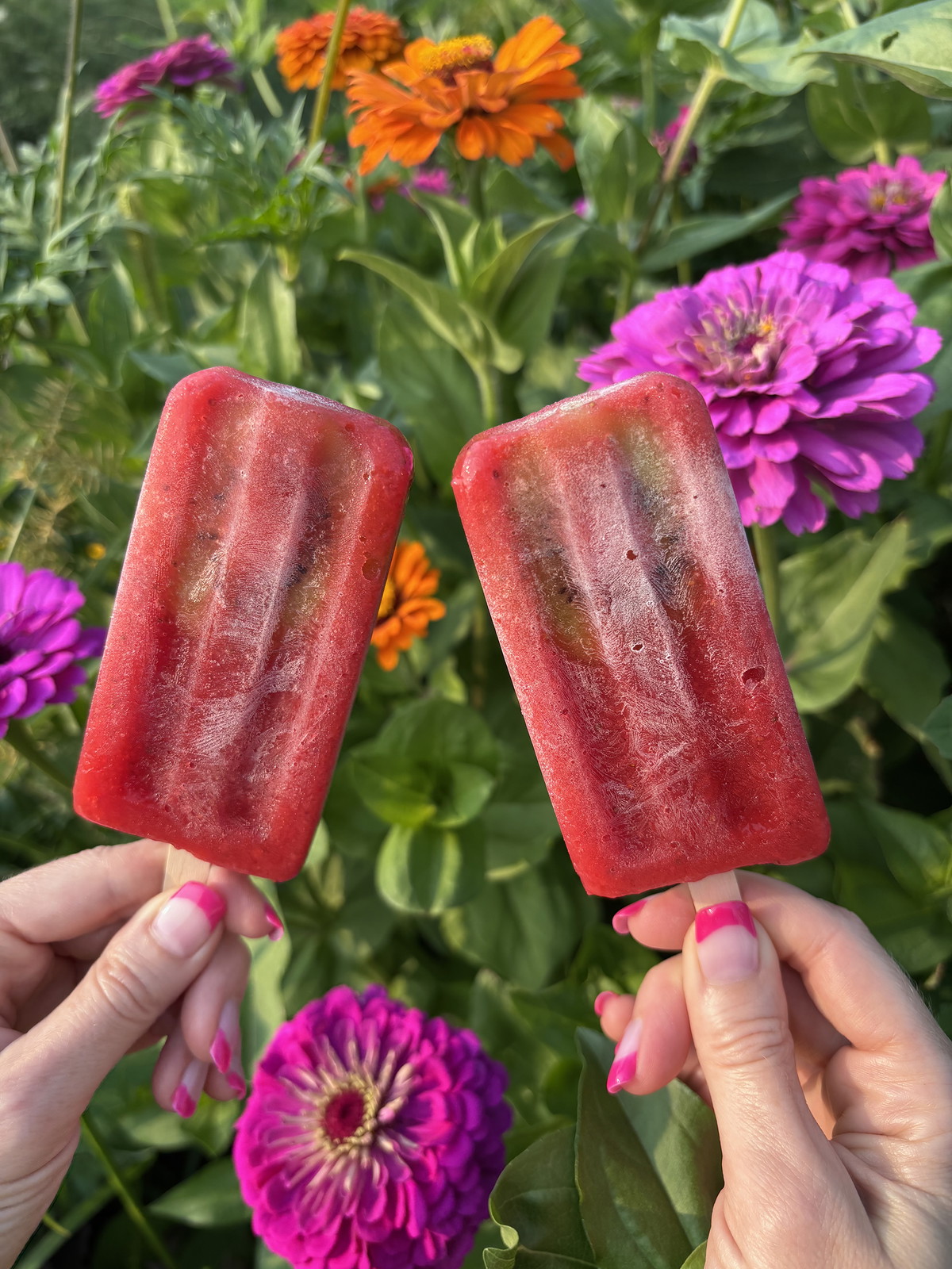 Strawberry Kiwi Hydration Pops