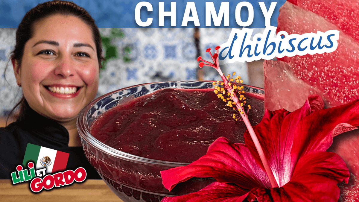 Chamoy à l'hibiscus (Chamoy de Jamaica)